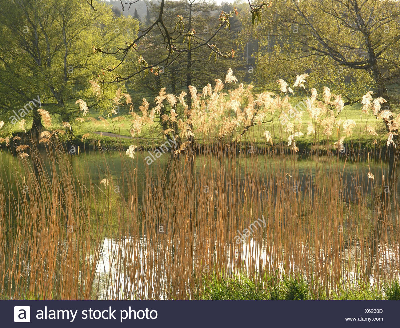 Kusnacht Switzerland Stockfotos und bilder Kaufen Alamy