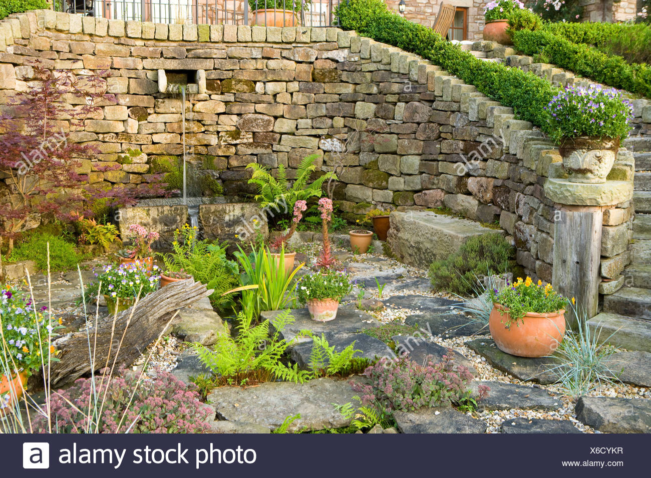 großen Steingarten oder eine Terrasse mit Farnen und Wasserspiel ... großen Steingarten oder eine Terrasse mit Farnen und Wasserspiel ...