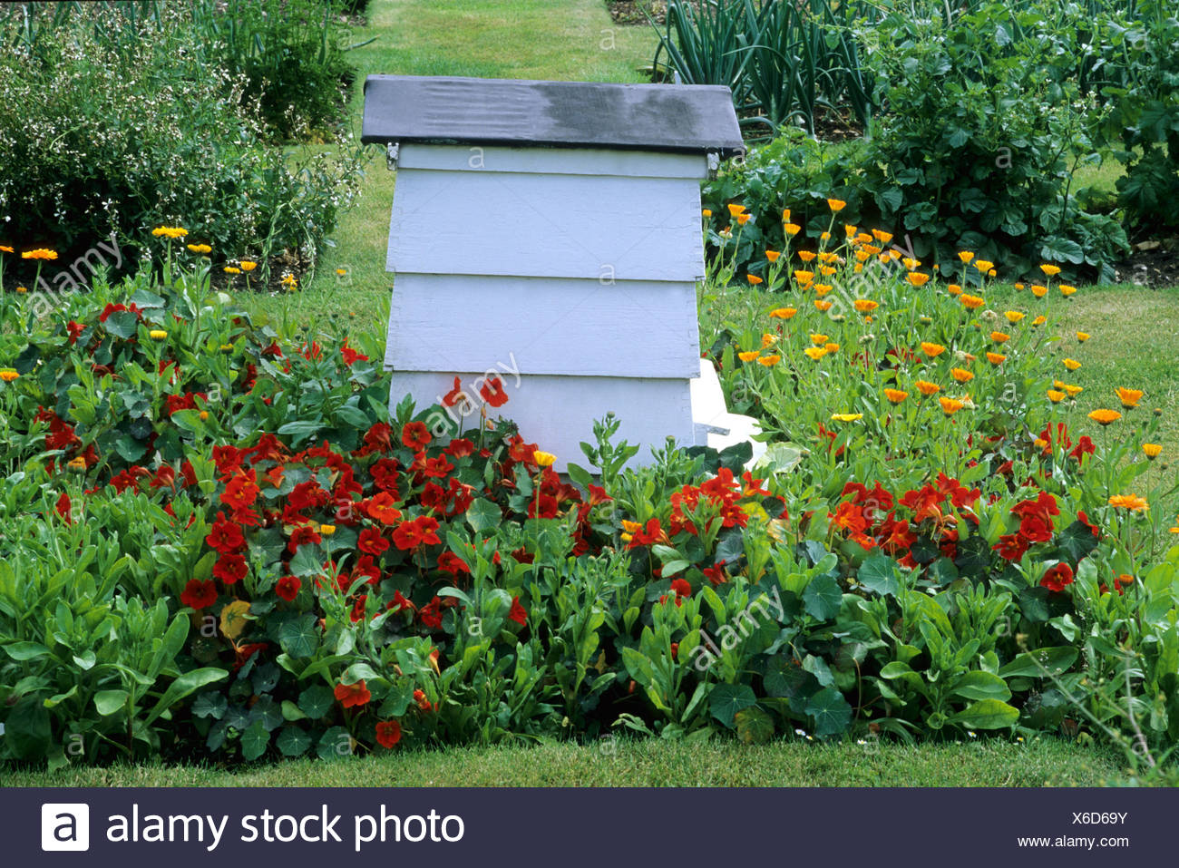 Bienenstock Im Garten Rote Blumen Pflanzen Gartenbau Bienenstock Bienenstocke Stockfotografie Alamy