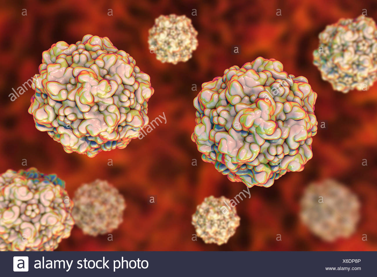 Parvovirus Artwork Stockfotos und -bilder Kaufen - Alamy