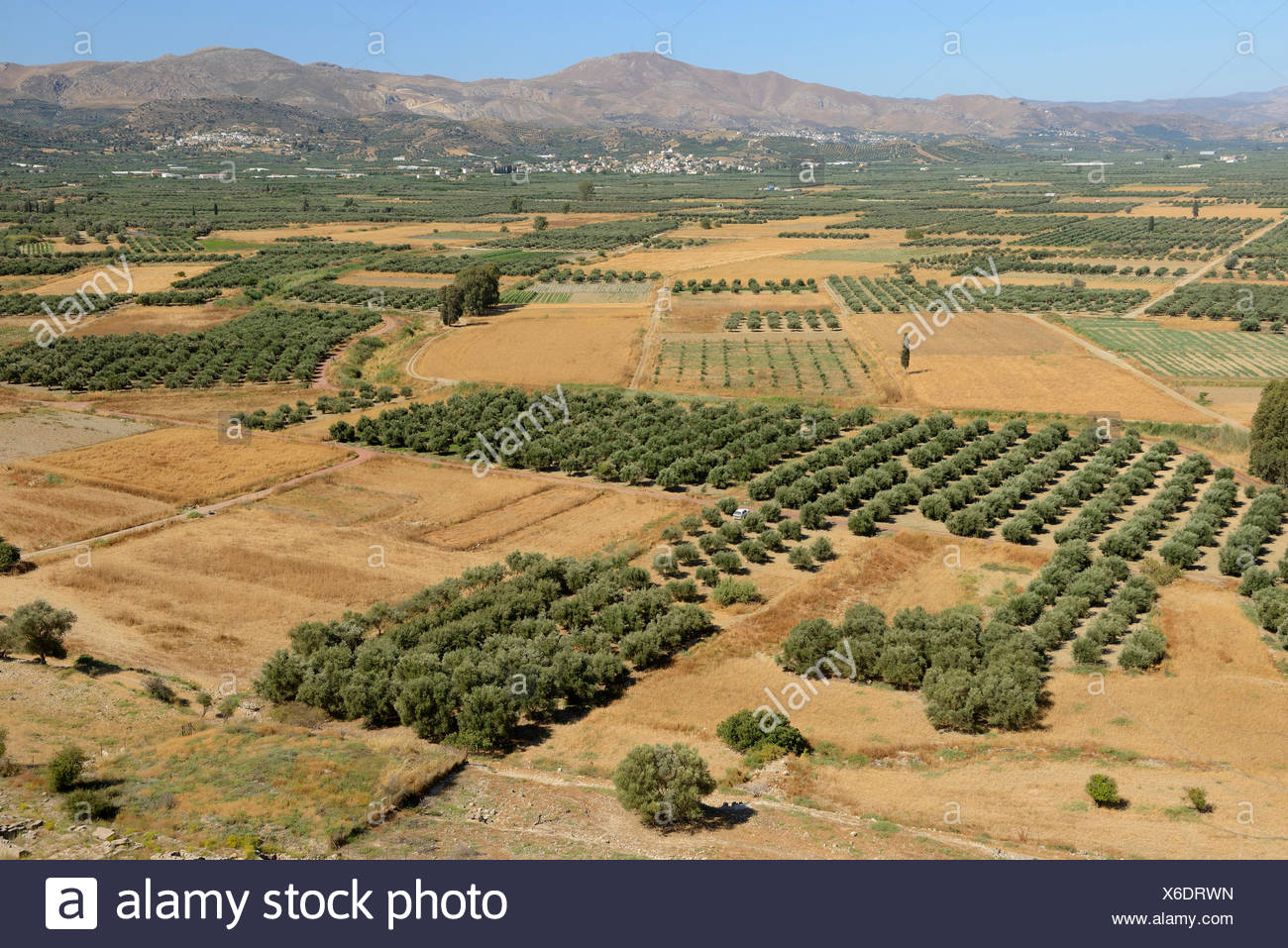 Griechische Landwirtschaft Stockfotos Und Bilder Kaufen Alamy