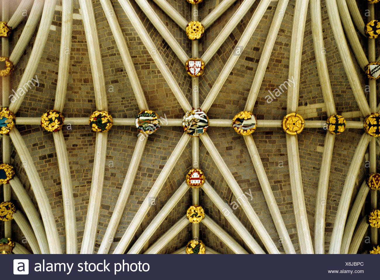 Kathedrale Von Exeter Kirchenschiff Dach Bosse Und Devon England Uk Englisch Mittelalterlichen Kathedralen Chef Rippe Rippen Innenraum Innenraume Tresore Tresor Stockfotografie Alamy