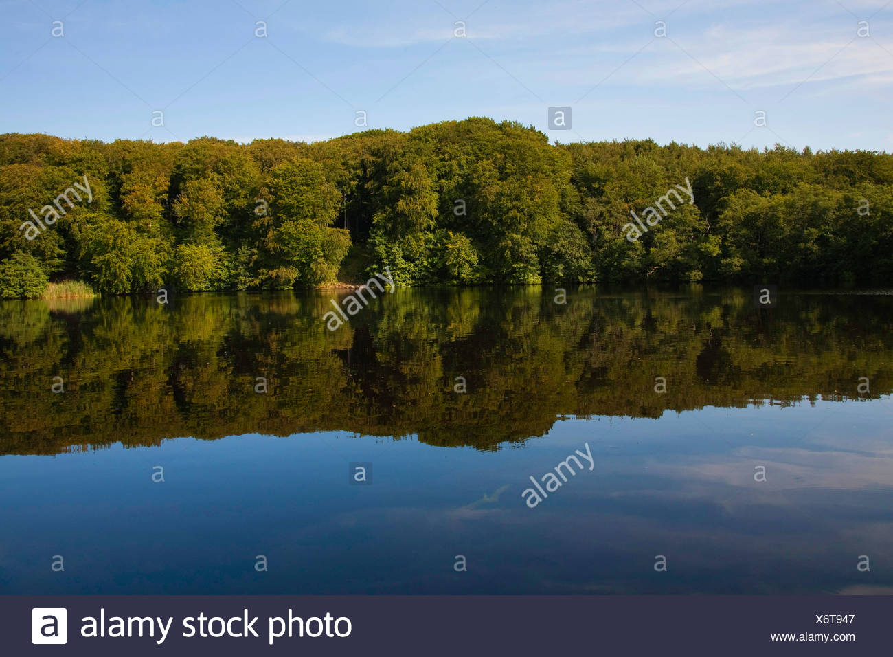 Hertha See Herthasee Deutschland Schleswig Holstein Rugen Nationalpark Jasmund Stockfotografie Alamy
