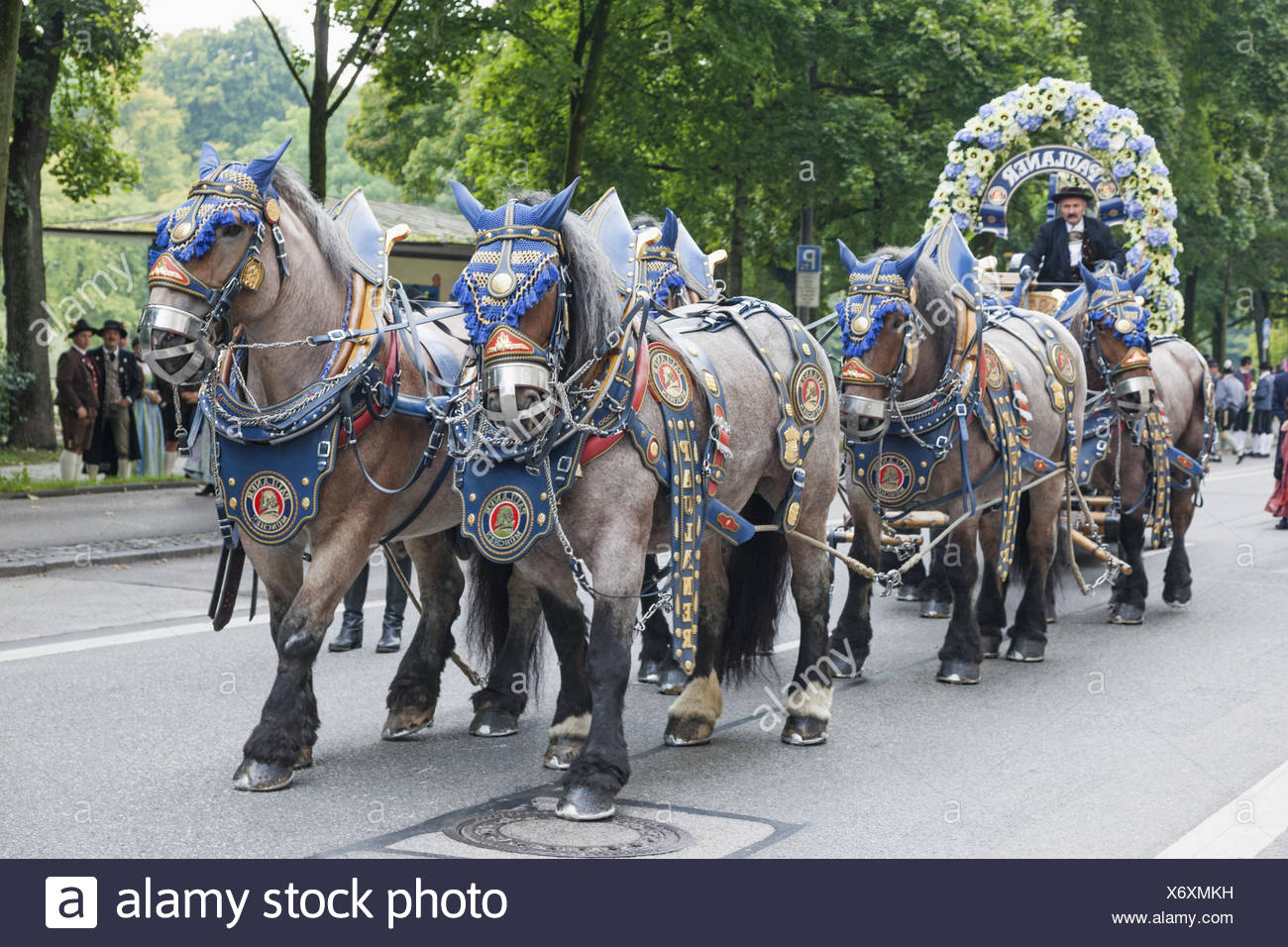 Germany Bavaria Munich Oktoberfest Horse Stockfotos und bilder Kaufen