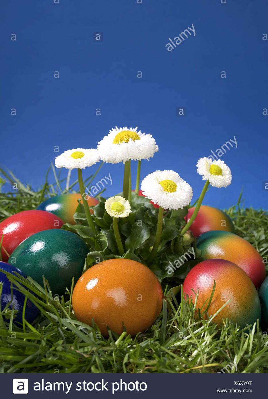 Blumen Wiese Ostern Ostereier Versteckt Bunt Ostern Fruhling