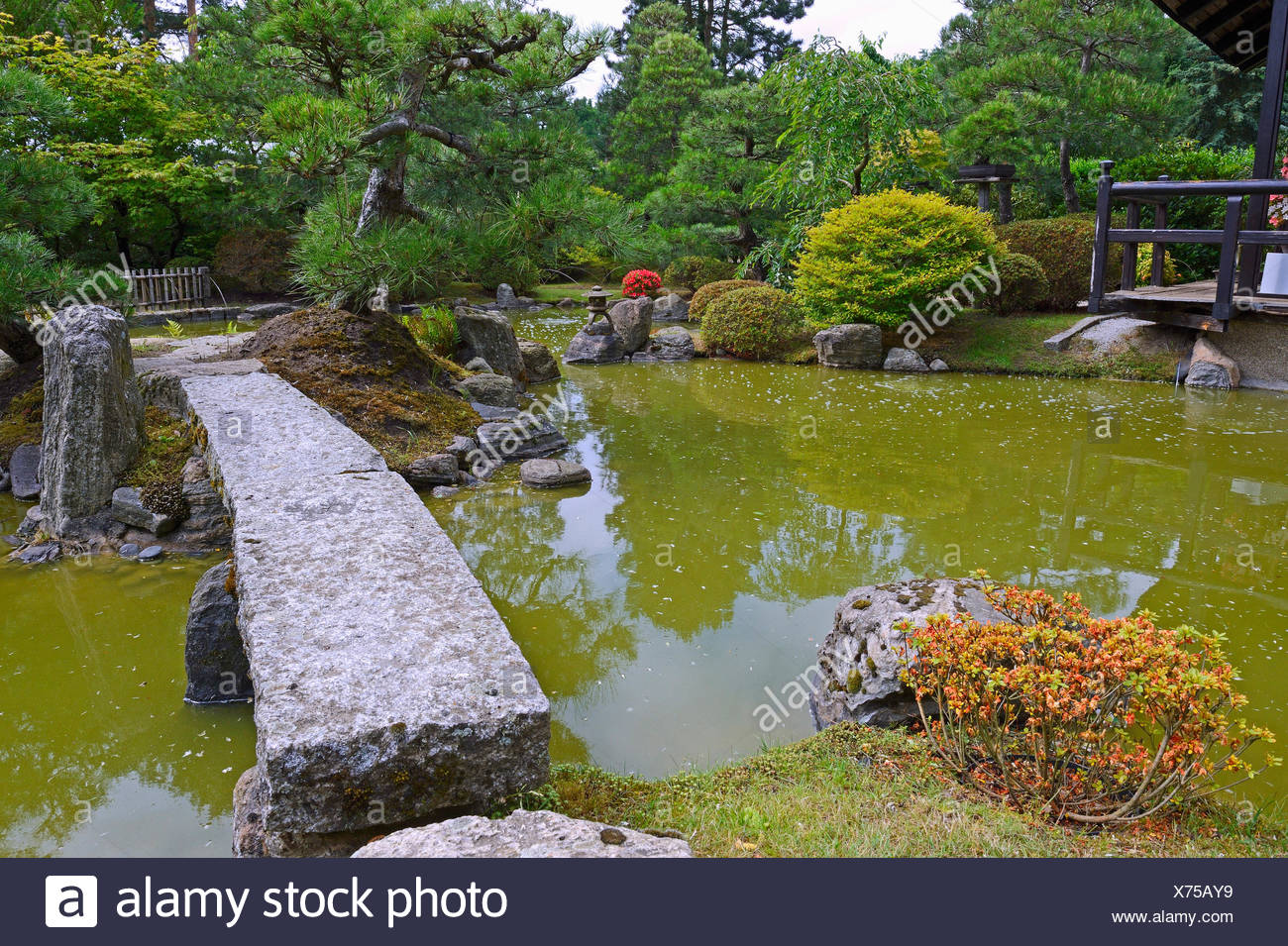Typische Japanische Garten Mit Dekoration Und Koi Teich Stockfotografie Alamy