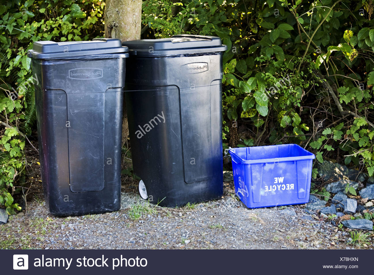 Recycling Und Mulltonnen Vor Einem Haus Stockfoto Bild 279858173