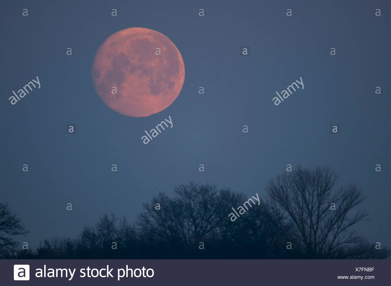 Deutschland Bayern Vollmond Morgens Stockfotografie Alamy