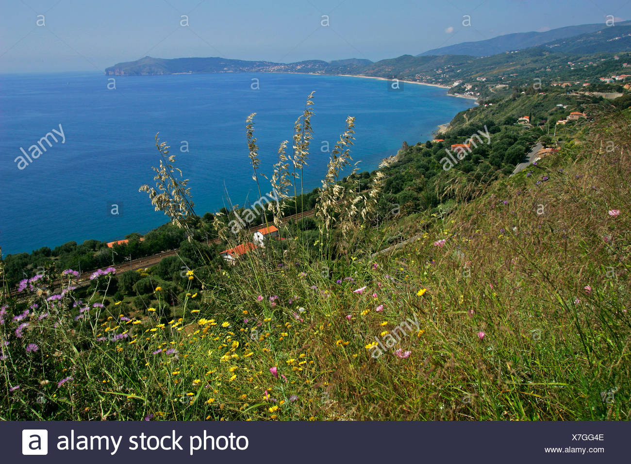 Not even a decent town map. Palinuro Klippen : Bay Palinuro Italy Cilento Stockfotos und -bilder Kaufen ...