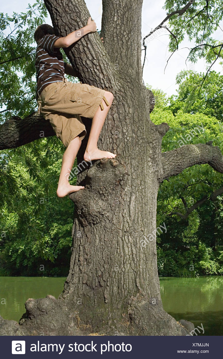 Boy Climbing Tree Barefoot Stockfotos und bilder Kaufen Alamy