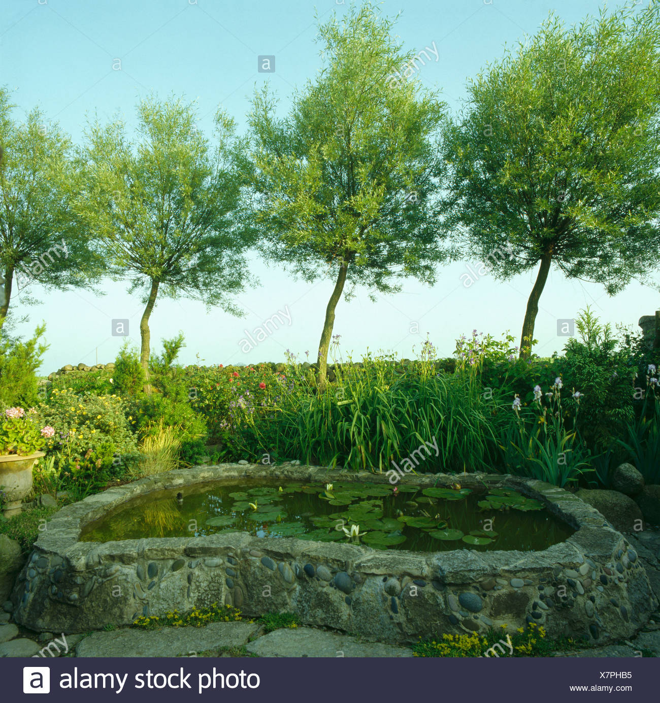 Kleine Garten Pool Mit Steinmauern Und Weiden Im Wind Stockfoto