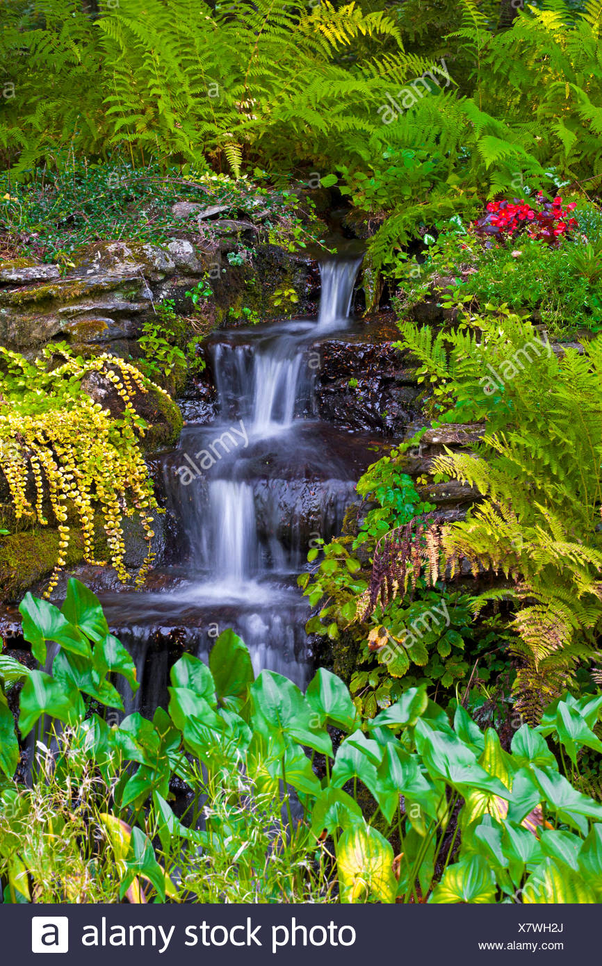 Kleiner Wasserfall Im Garten Sutton Eastern Townships Quebec