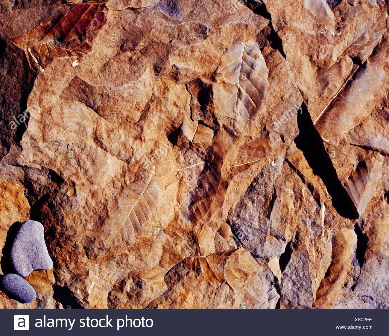 Paysafecard 5 euro casino