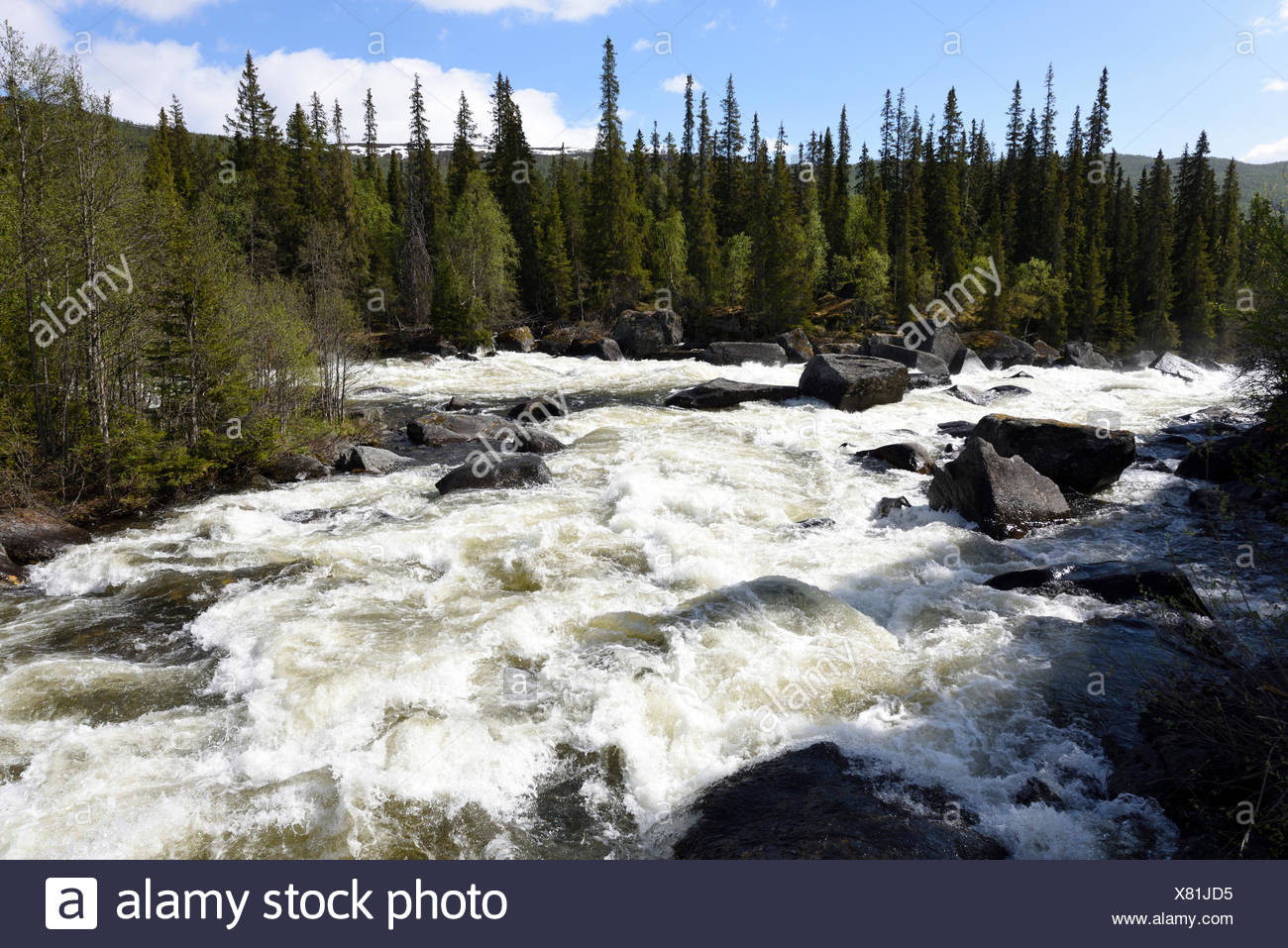 Stromschnellen Lappland Schweden Stockfotografie Alamy