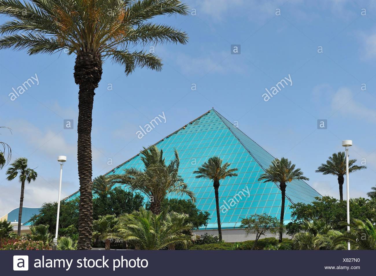 Aquarium Pyramide Moody Gardens Galveston Island Golf Von