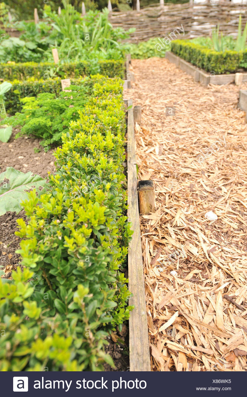 Garten Gemuse Bett Pfad Rindenmulch Box Stockfotografie Alamy