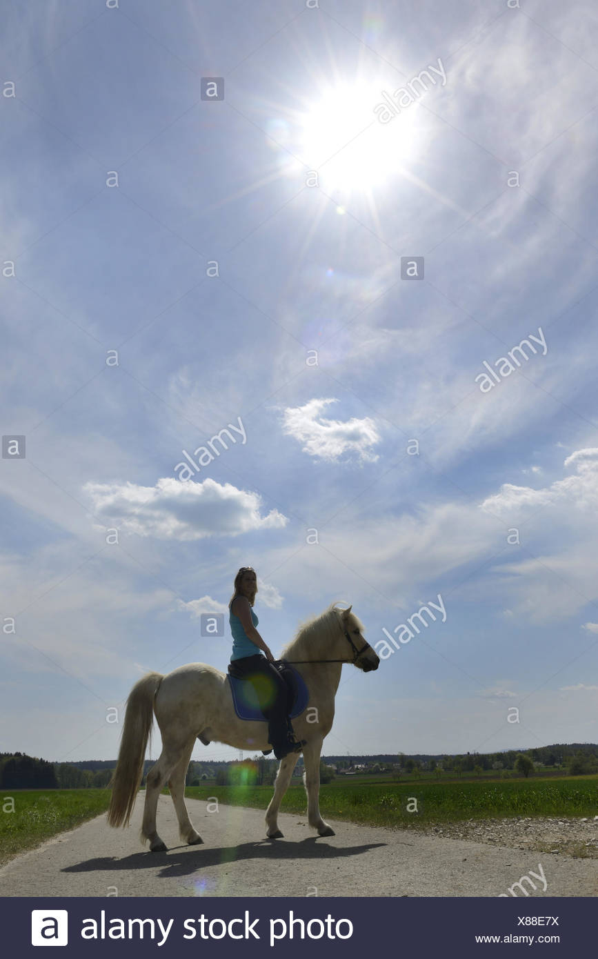 Get Island Pony Kaufen Bayern Pics