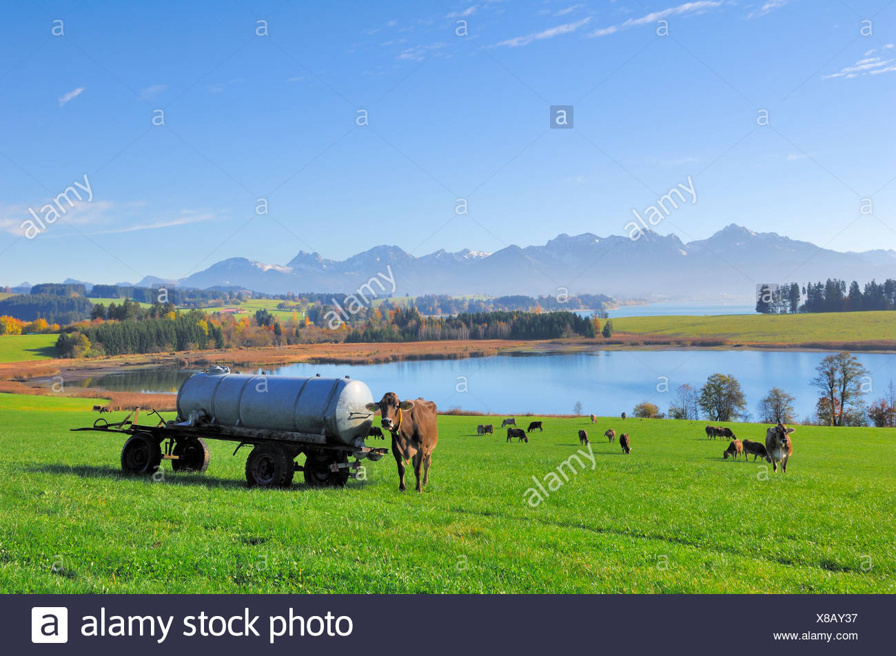 Ferienimmobilien Ostallgäu Kaufen