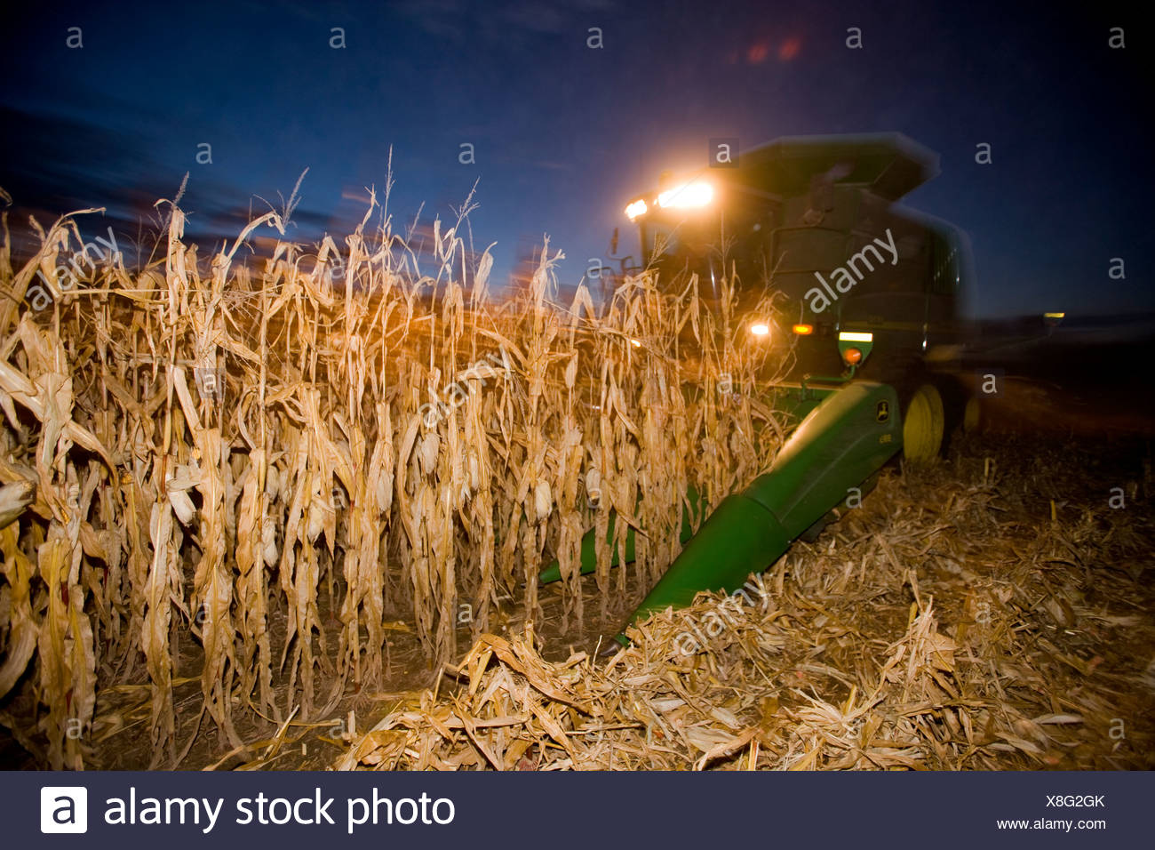 Landwirtschaft John Deere Mahdrescher Erntet Kornermais Nachts Bei Northland Minnesota Usa Stockfotografie Alamy