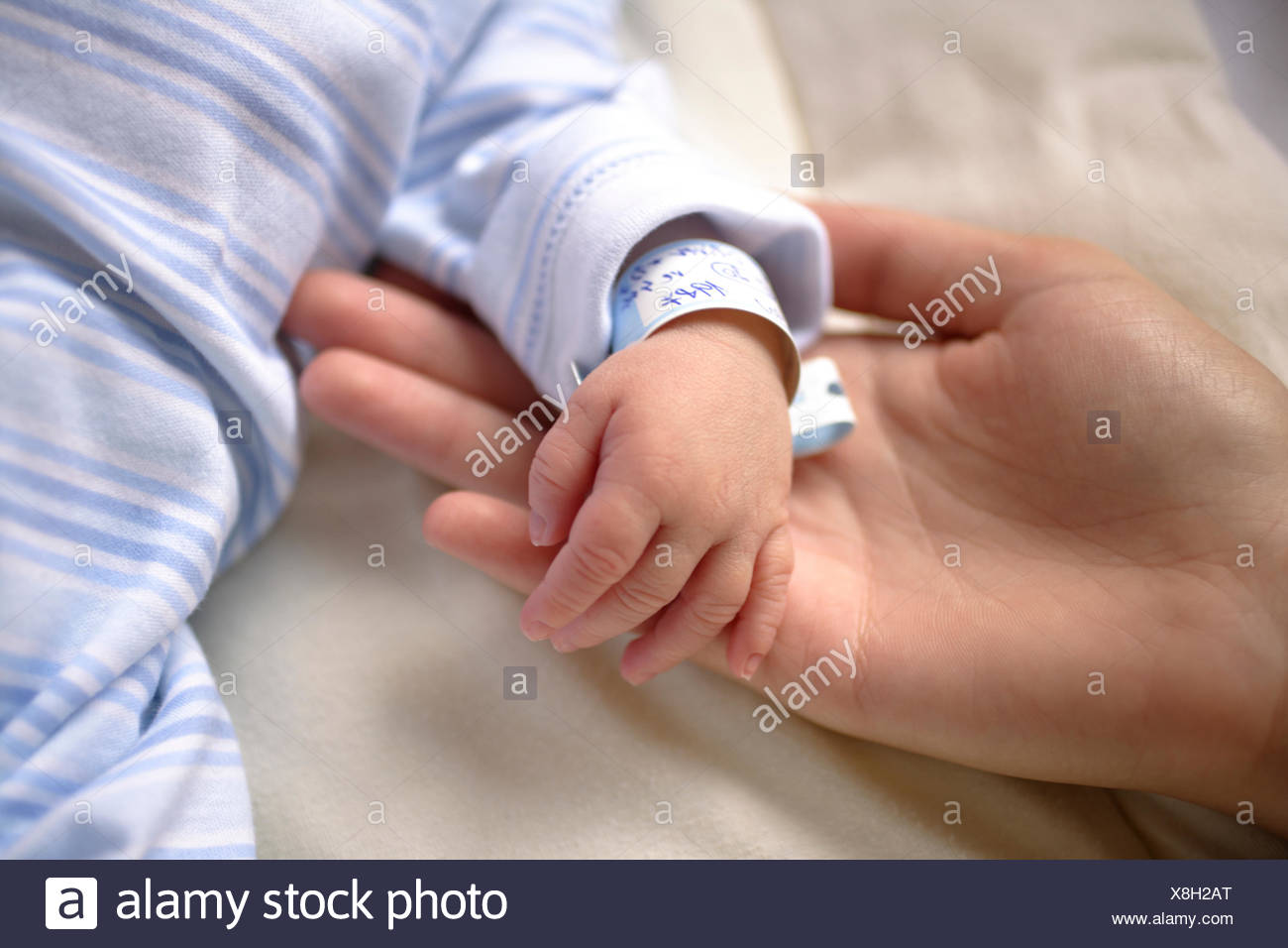 Neugeborenes Baby Hande Detail Stockfotografie Alamy