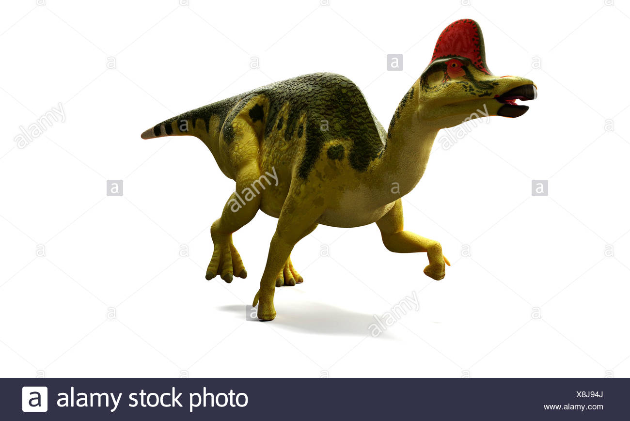 Hadrosaurus Stockfotos und bilder Kaufen Alamy
