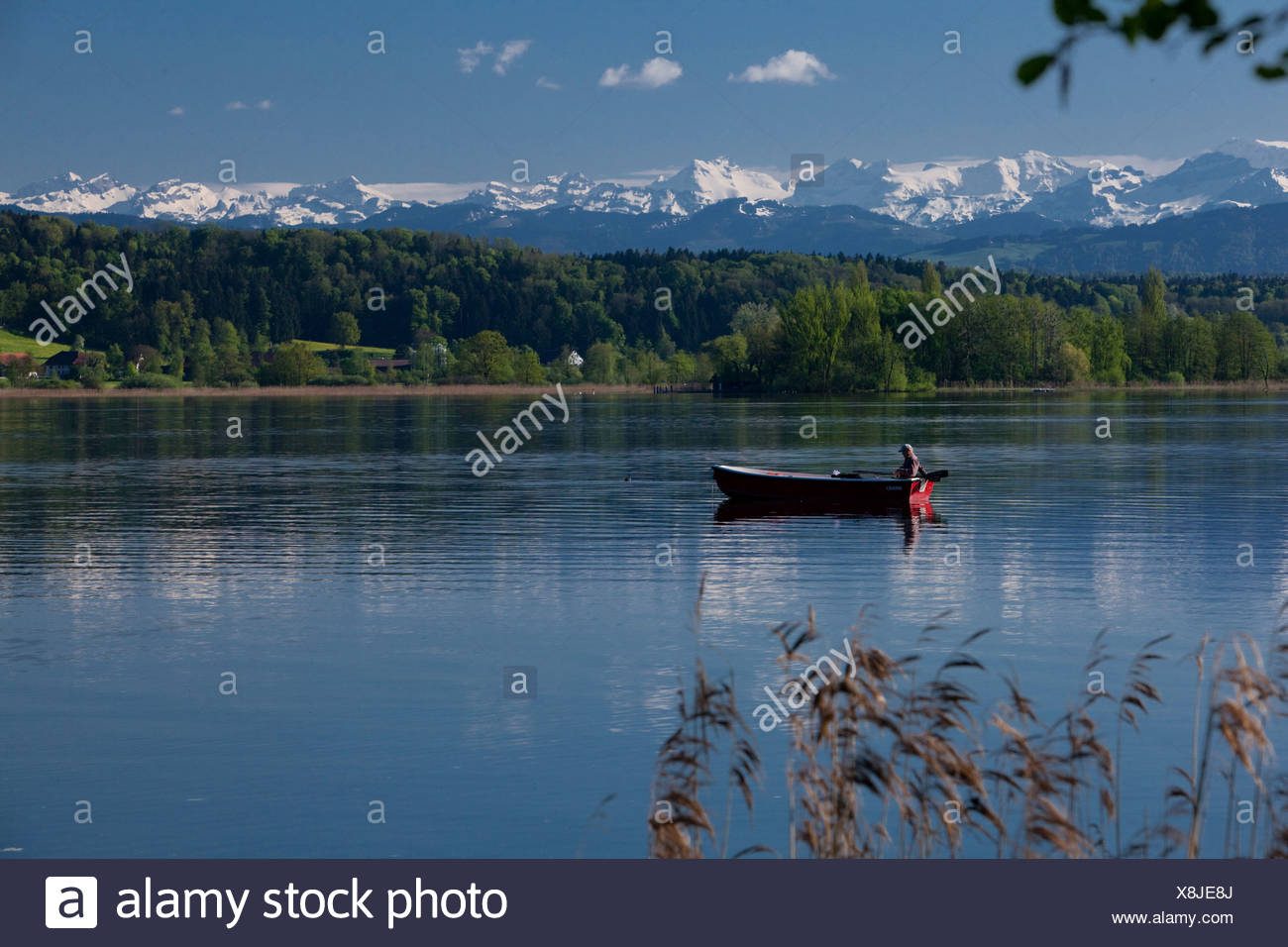 Schweiz, Europa, See, Schiff, Boot, Schiffe, Boote, Alpen, Kanton ZH, Zürich, Frühling, Greifensee, Greifensee, Boot Stockfoto