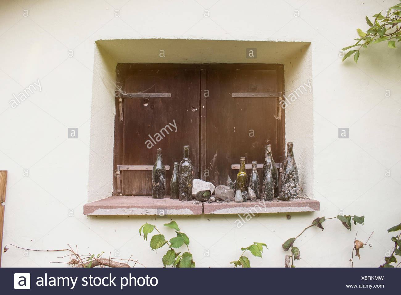 Kräuterregal Fenster