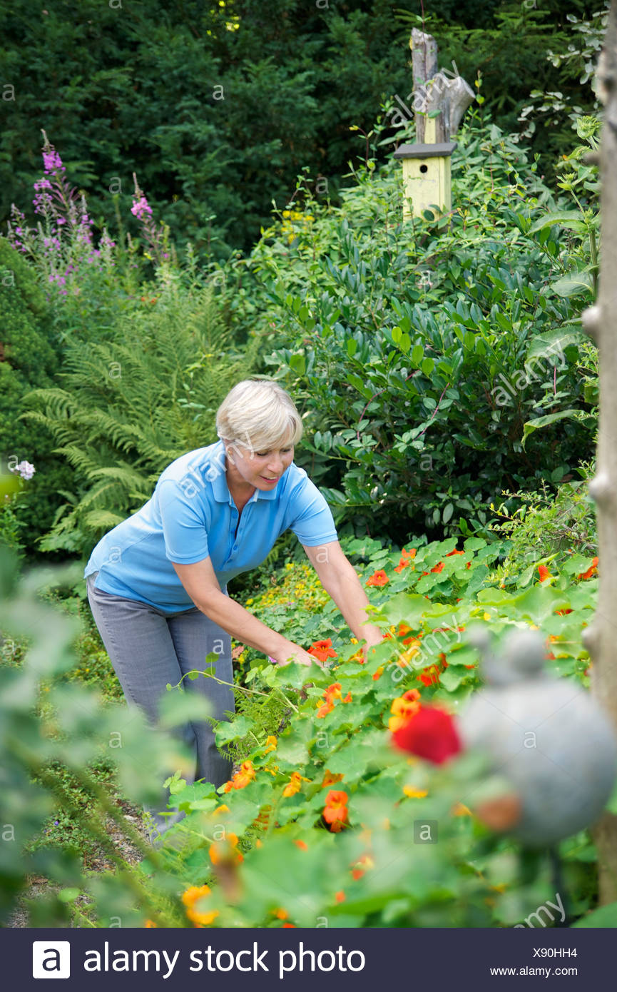 Altere Frau Die Arbeit Im Garten Stockfotografie Alamy