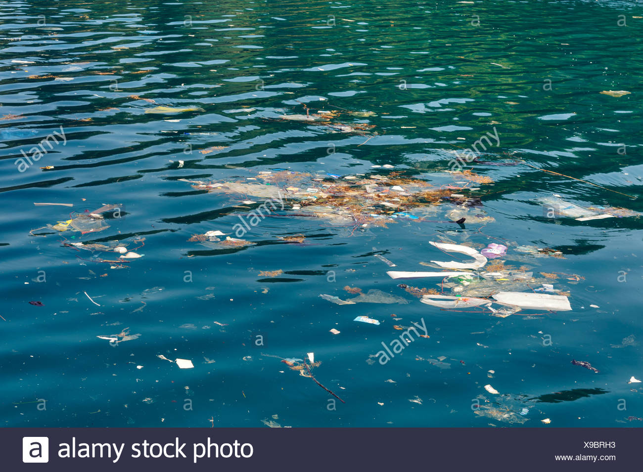 Download Kuesten wohnbereich teppiche For Android Kuesten Wohnbereich Teppiche