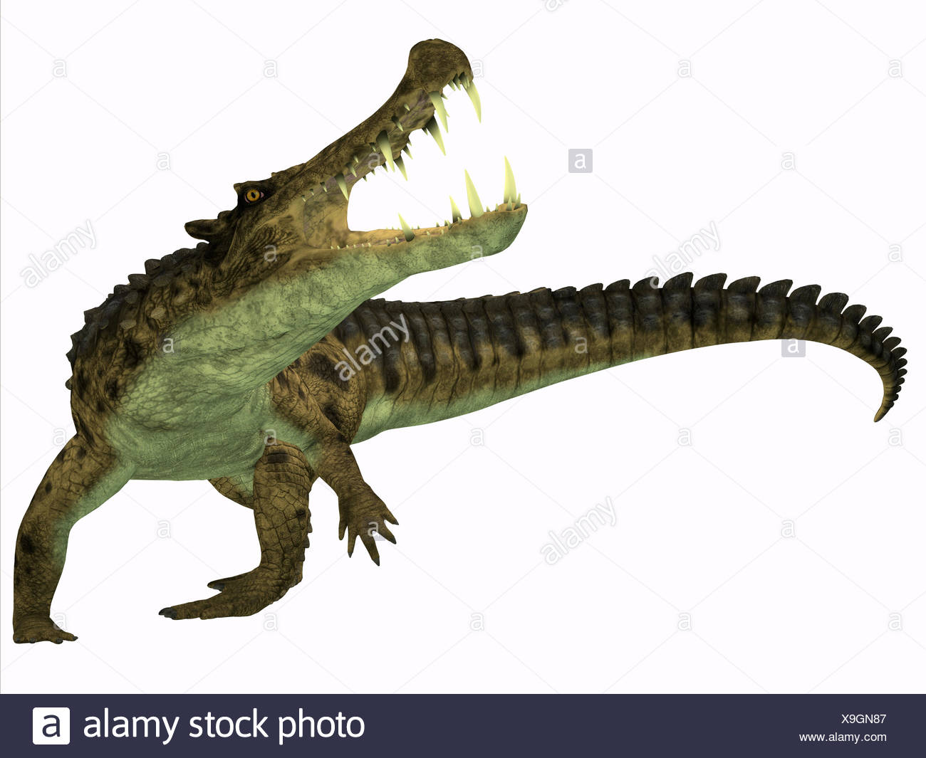 Kaprosuchus Auf Weiss Stockfotografie Alamy