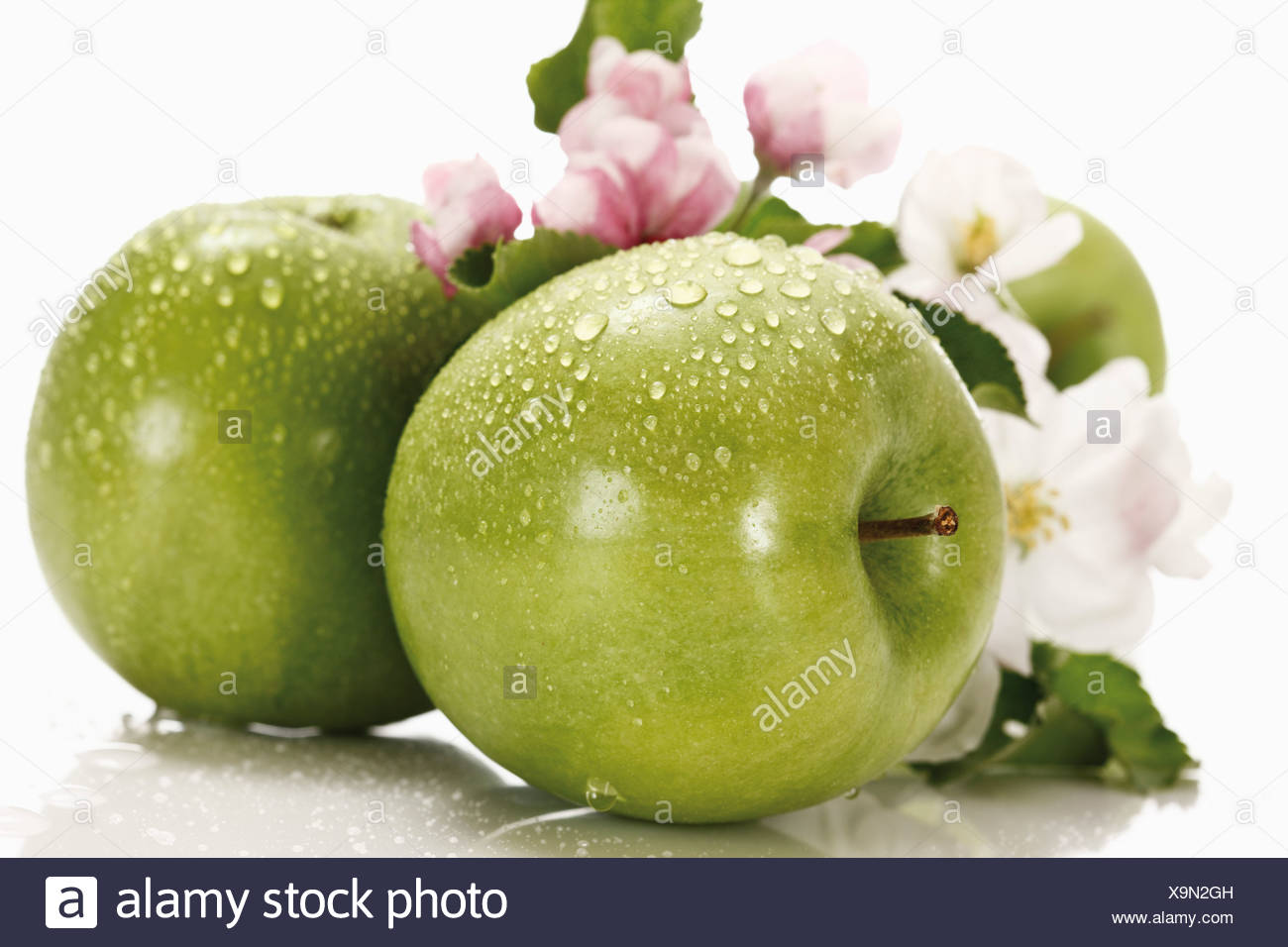 Grune Apfel Mit Wassertropfen Im Hintergrund Apfelblute Nahaufnahme Stockfotografie Alamy