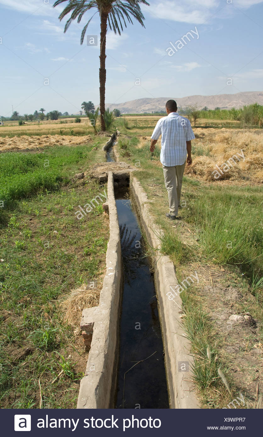 Agypten Luxor Westbank Landwirtschaft Bauernhof Die Betriebe Die Landwirtschaftliche Bewasserung Zu Bewassern Bewassert Bewassernde Wasser Wasser Bewasserung Landwirtschaft Stockfotografie Alamy
