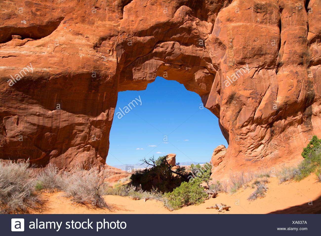 Pine Tree Arch Auf Devils Garden Trail Arches National Park Utah