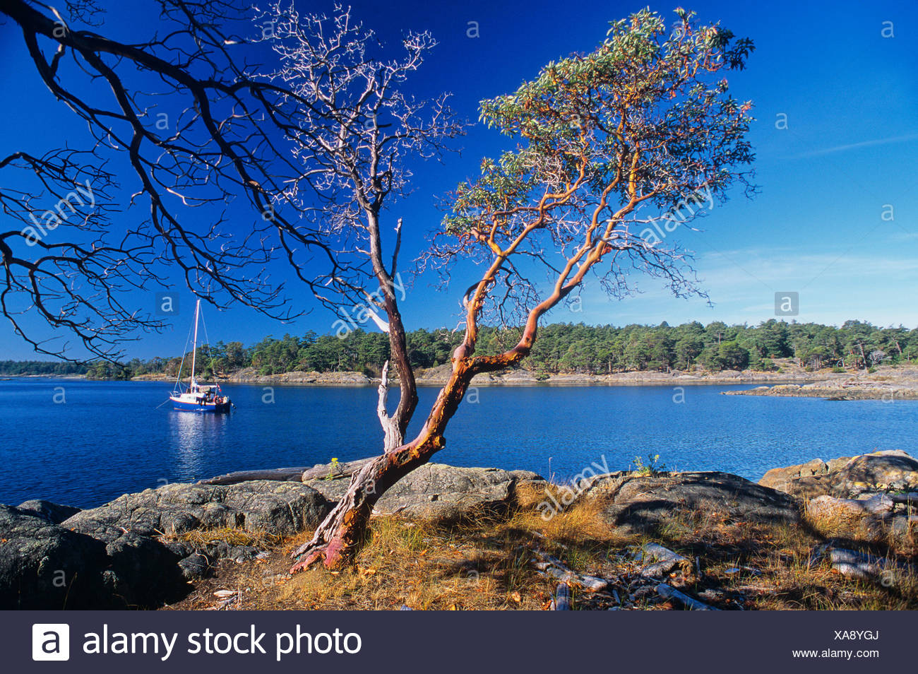 Blick Auf Chatham Island Von Discovery Island Sudlichen Gulf Islands British Columbia Kanada Stockfotografie Alamy