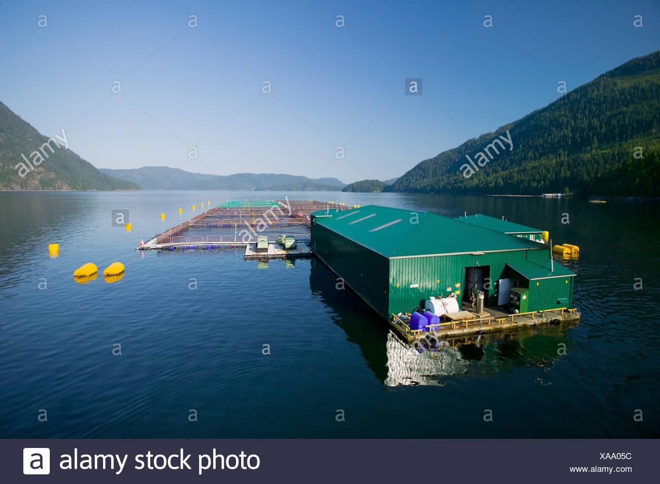 Particular Stockfotos & Particular Bilder - Alamy
