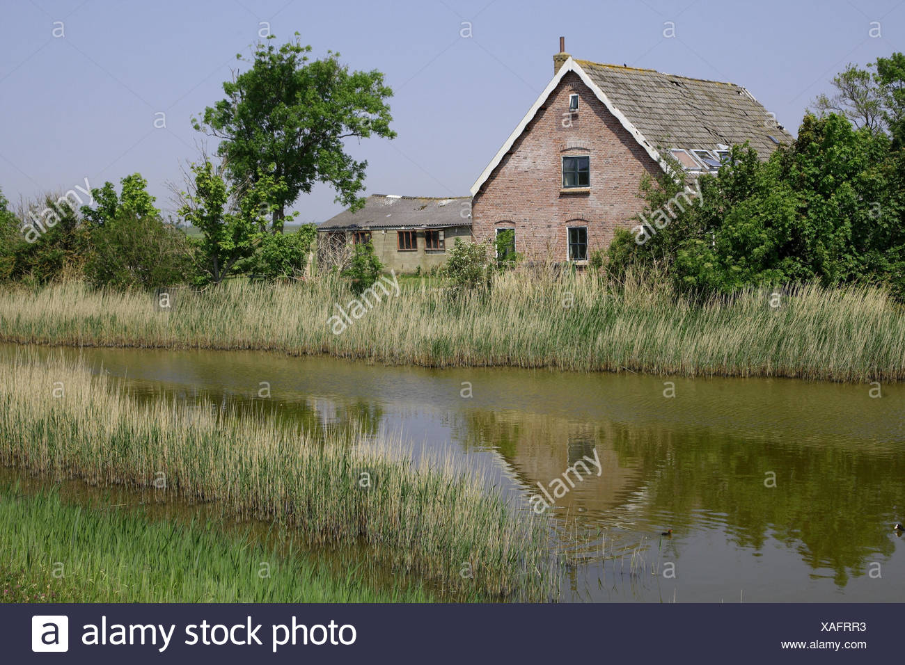 Landschaft Haus Kanal Insel Texel Stockfoto Bild 281860407