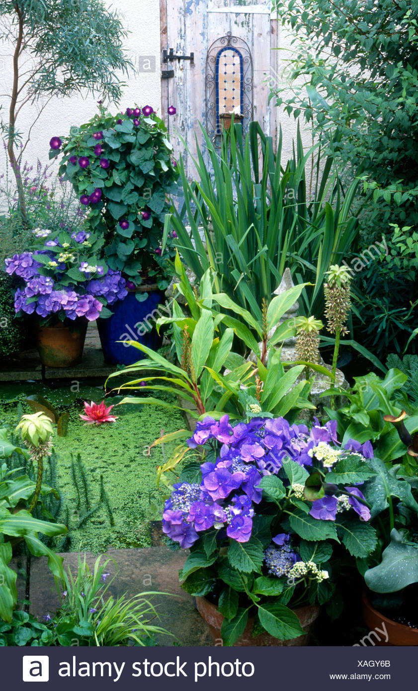 Gartenteich auf Terrasse Stockfoto, Bild: 281885027 - Alamy Gartenteich auf Terrasse Stockfoto, Bild: 281885027 - Alamy