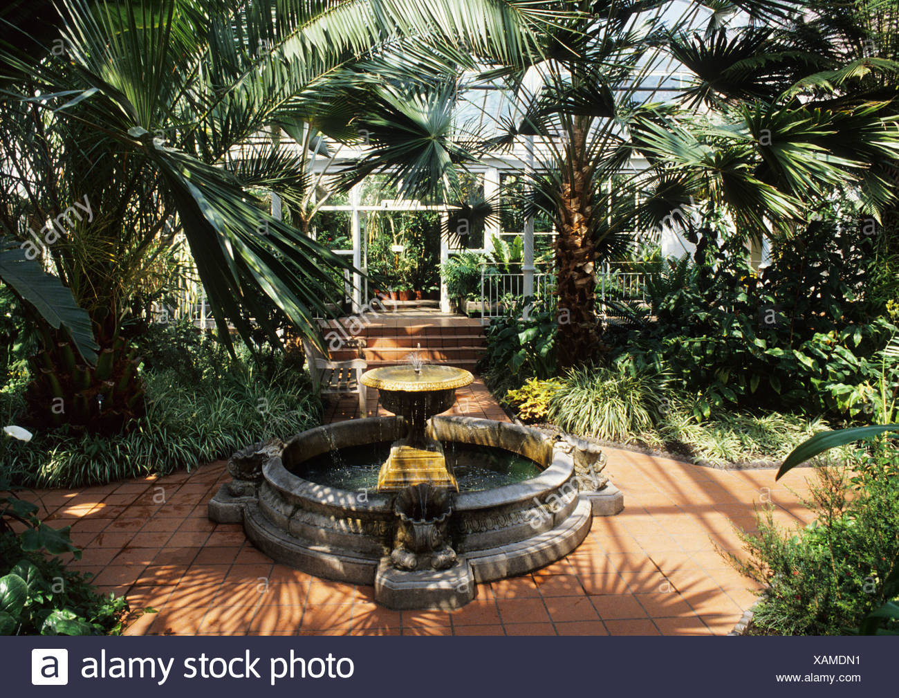 Birmingham Botanical Gardens Palm House Warwickshire England Uk