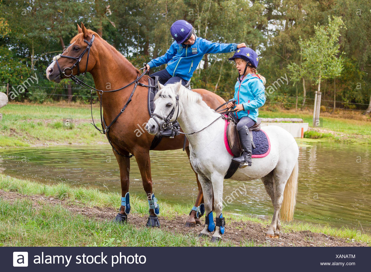 welsh mountain pony und pony reiten deutsch zwei kinder