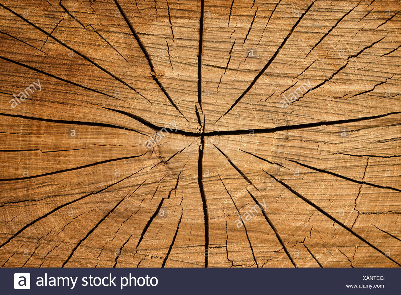 Risse In Holz Stockfotos und -bilder Kaufen - Alamy