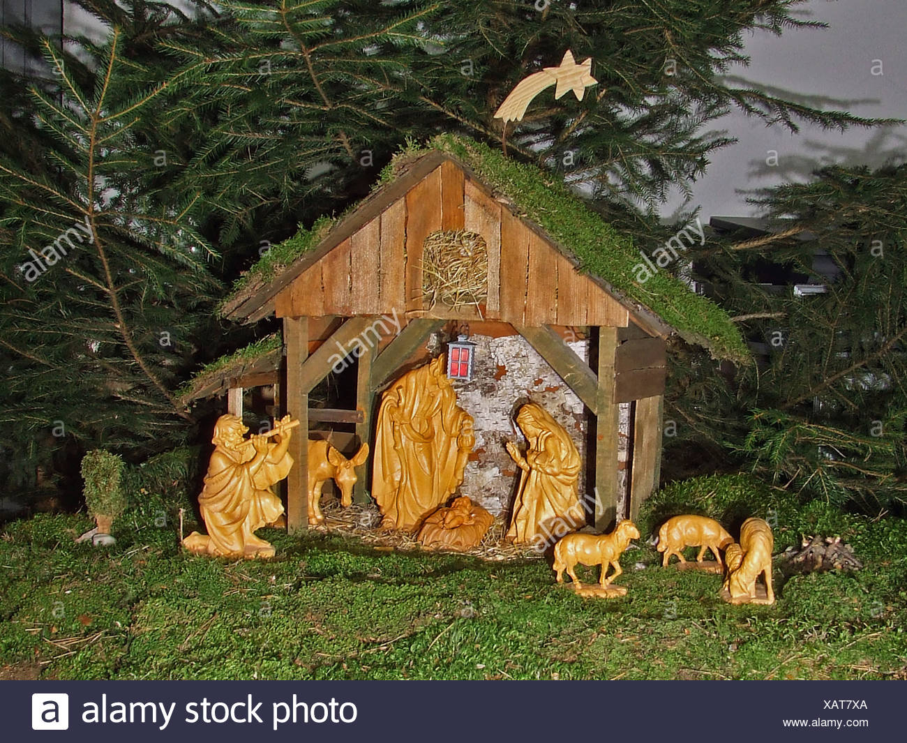 Festung Körperbau Moos Stabile Krippe Krippe Weihnachtsstern