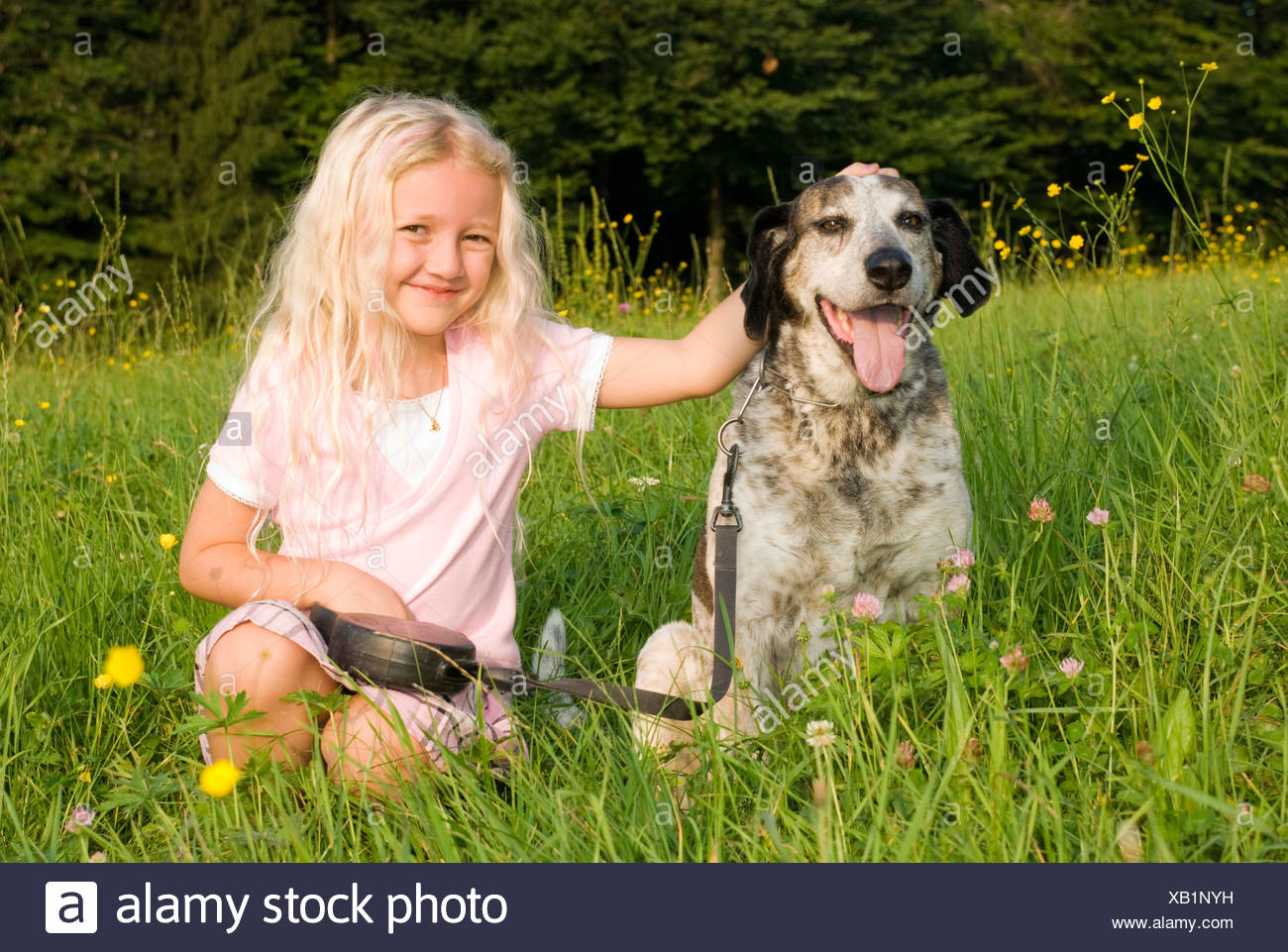 Mischling Hund (Canis Lupus F. Familiaris), Mädchen mit Hund auf Wiese