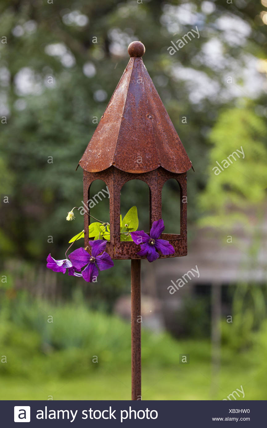 Voliere Im Garten Clematis Bluten Stockfoto Bild 282206988 Alamy