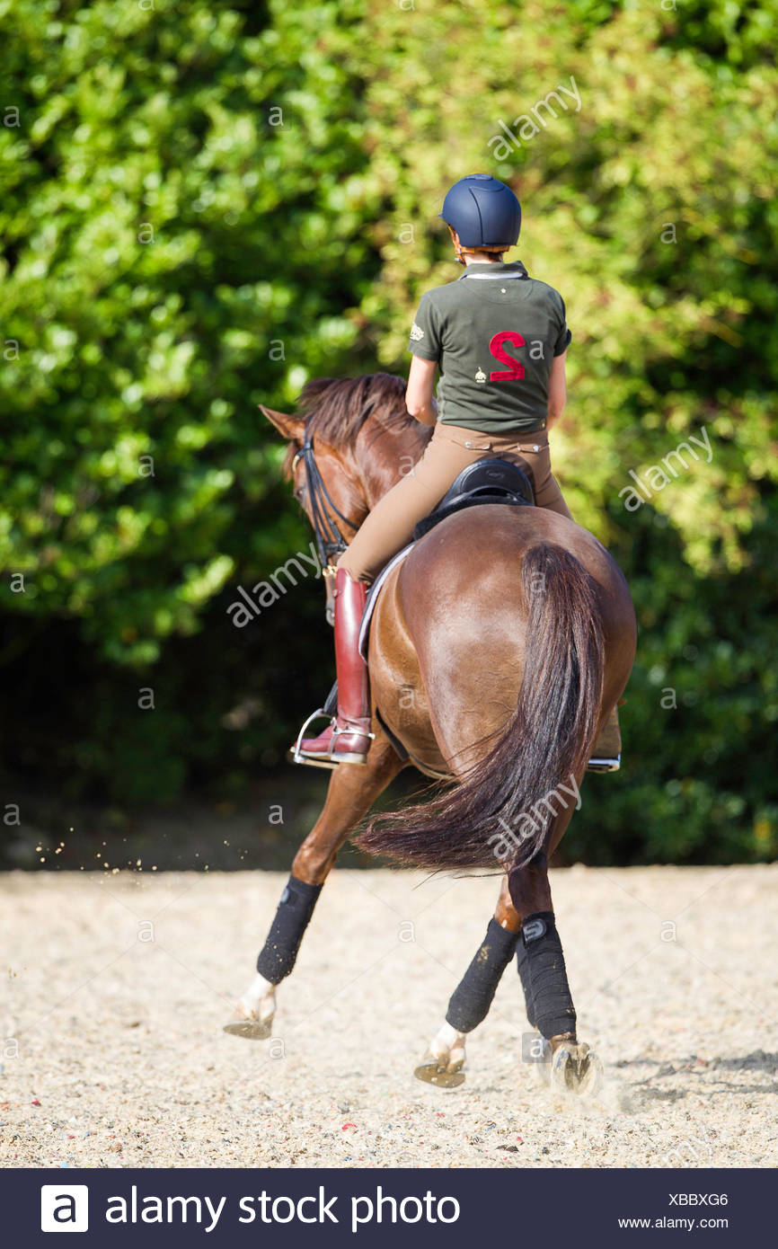 Halb Tier und Halb Mensch Stockfotos und bilder Kaufen Alamy