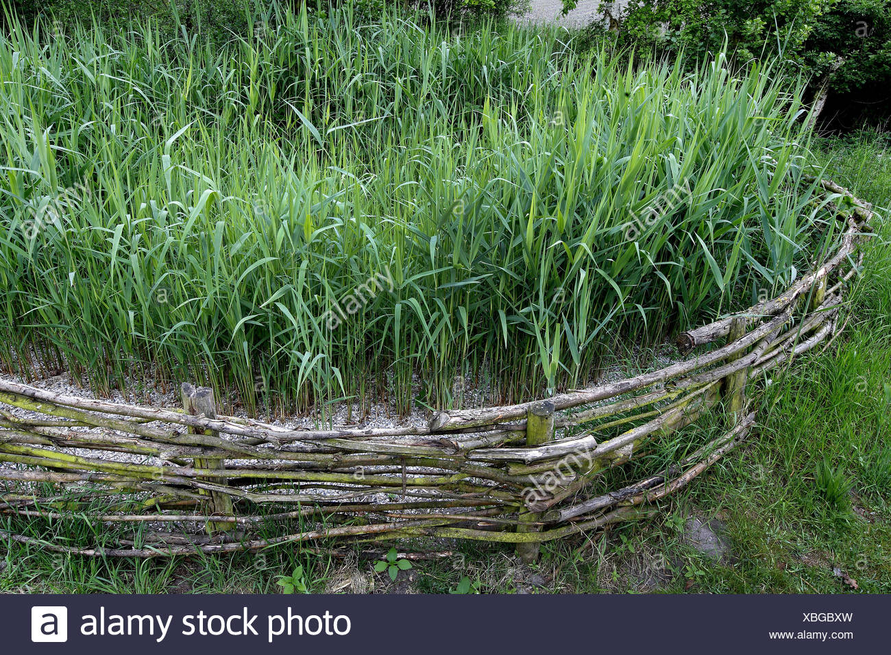 Konstruiertes Feuchtgebiet Stockfotos Und Bilder Kaufen Alamy