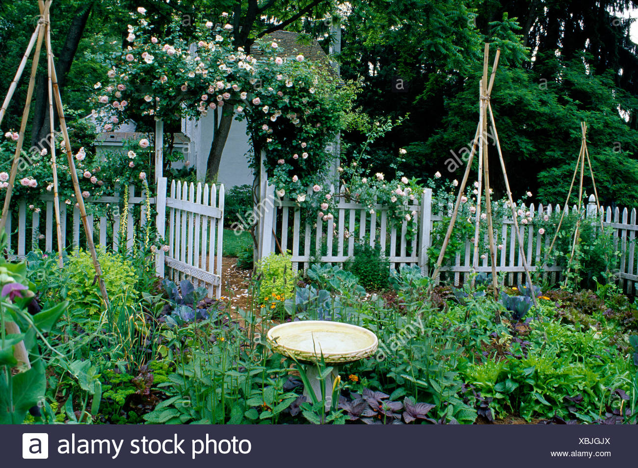 Stiegen Die Kleinen Viereckigen Garten Mit Vogeltranke Und