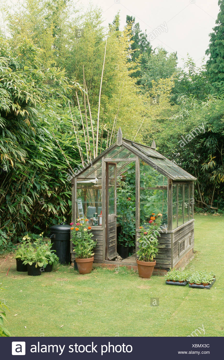 Kleine Glas-Gewächshaus auf Rasen des Bauerngarten Stockfoto, Bild