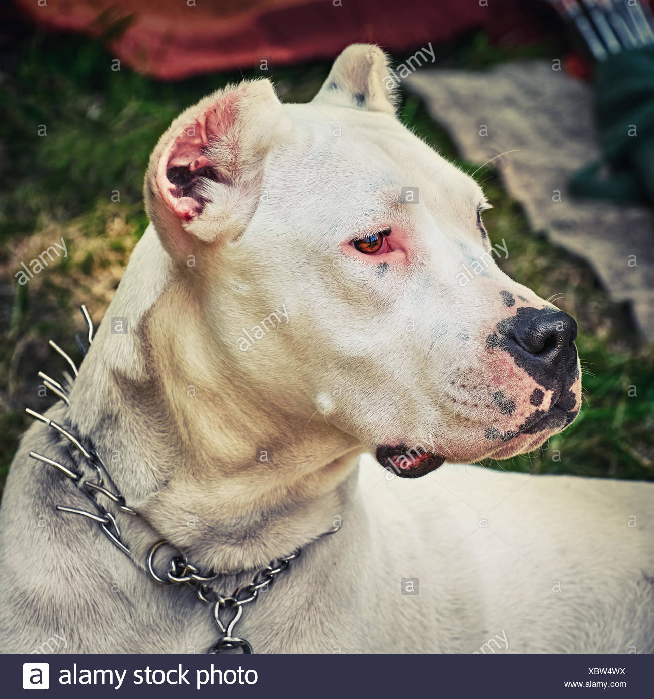 Echt Geboren Stockfotos Und Bilder Kaufen Alamy