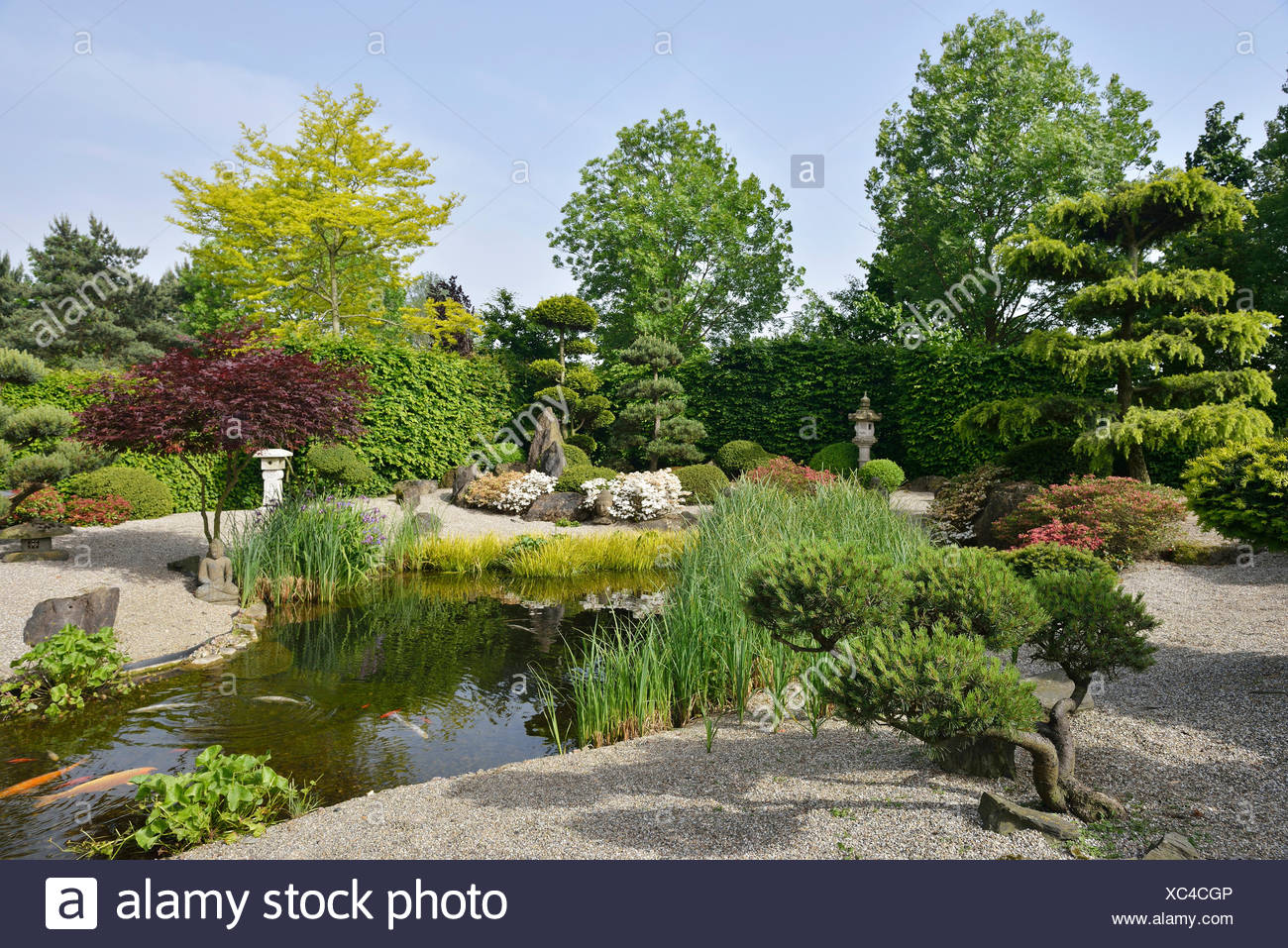 33+ Best Fotos Park Der Garten Bad Zwischenahn Park Der Garten