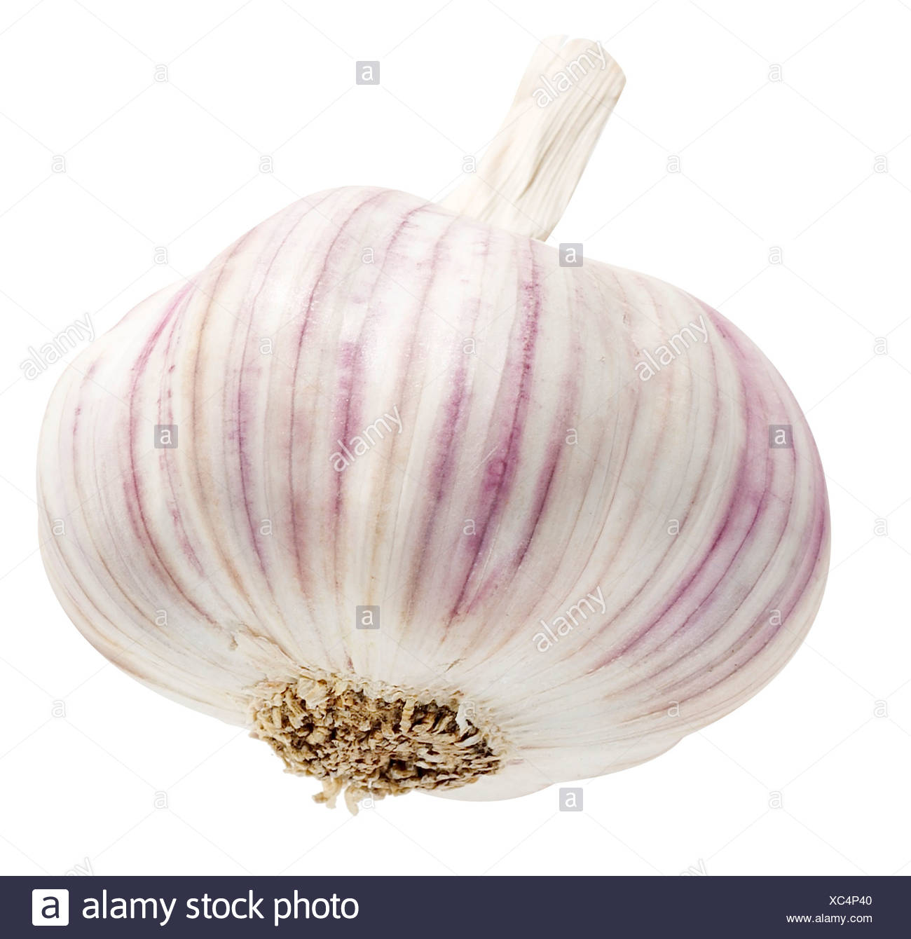 Knoblauchknolle Stockfotografie Alamy